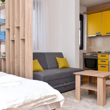 Apartment Anya Čačak